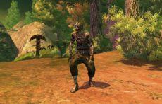 画像集#015のサムネイル/「RaiderZ」の対人戦システムや,時間および天候の変化,変身,楽器の演奏などのゲームシステムを紹介
