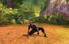 画像集#016のサムネイル/「RaiderZ」の対人戦システムや,時間および天候の変化,変身,楽器の演奏などのゲームシステムを紹介