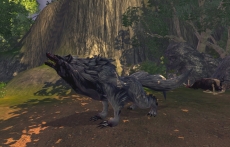 画像集#021のサムネイル/「RaiderZ」,クローズドβテストで遊べる内容が公開。CBT直前ニコニコ生放送も