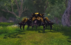画像集#022のサムネイル/「RaiderZ」,クローズドβテストで遊べる内容が公開。CBT直前ニコニコ生放送も