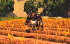 画像集#026のサムネイル/「RaiderZ」,大型アップデート「2nd Wave vol 3」が本日実装。新コンテンツとしてPvP「エダ山聖域陣営PvP」とPvE「ハウンドドッグ」が登場だ