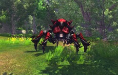 画像集#027のサムネイル/「RaiderZ」,大型アップデート「2nd Wave vol 3」が本日実装。新コンテンツとしてPvP「エダ山聖域陣営PvP」とPvE「ハウンドドッグ」が登場だ