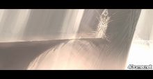 画像集#052のサムネイル/デッサン画のような独特のグラフィックスが特徴的な3Dアクション「El Shaddai ASCENSION OF THE METATRON」は2010年発売