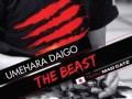 「Team Mad Catz」のウメ/マゴ/ときどが,9月23日の「NSB30 SSF4AE」に参戦。「Ver.2012」のロケテストも同時開催