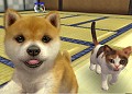 岩田社長が助っ人参戦し,3DS本体機能の詳細も聞けた! 「nintendogs+cats」プロデューサー・紺野秀樹氏プレゼンテーションをレポート