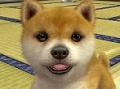 任天堂製ゲームソフトの最新発売スケジュール公開。「nintendogs + cats」3タイトルが2月26日に同時発売&「スティールダイバー」は3月17日にリリース