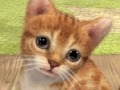 3DSの立体表示で,あの名作はどう生まれ変わるのか。「ゼルダの伝説 時のオカリナ 3D(仮称)」「nintendogs + cats」「どうぶつの森(仮称)」レポート