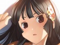 TCG+SLG「戦国絵札遊戯 不如帰 大乱」が2010年9月に発売。ゲームデザインは,あの“Magic: The Gathering”の日本チャンピオン松尾悟郎氏