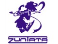 生のZUNTATAサウンドが楽しめる“「ダライアスバーストAC」ライブ&開発者トークショー”,3月6日開催。チケットの読者プレゼントも!
