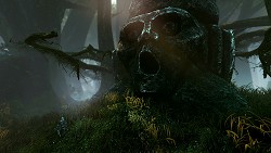 #006Υͥ/GamescomϤ줬RPGThe Witcher 2: Assassins of KingsפϥեåƥȺ٤뤫⤷ʤȡ꡼ʬ