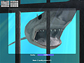 海洋生物の撮影から機雷処理まで。PC用ダイビングシミュレータ「ダイバー ディープウォーター アドベンチャー」は本日発売