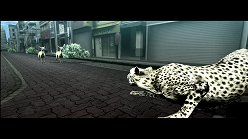 画像集#011のサムネイル/母親とはぐれた小鹿や家族を守るライオンの運命はいかに。「TOKYO JUNGLE」の過酷な環境を生きる動物達のストーリーを紹介