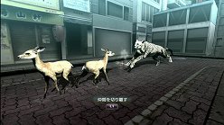 画像集#012のサムネイル/母親とはぐれた小鹿や家族を守るライオンの運命はいかに。「TOKYO JUNGLE」の過酷な環境を生きる動物達のストーリーを紹介
