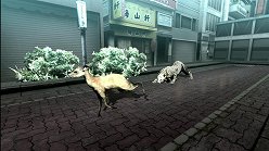 画像集#013のサムネイル/母親とはぐれた小鹿や家族を守るライオンの運命はいかに。「TOKYO JUNGLE」の過酷な環境を生きる動物達のストーリーを紹介