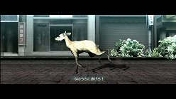 画像集#014のサムネイル/母親とはぐれた小鹿や家族を守るライオンの運命はいかに。「TOKYO JUNGLE」の過酷な環境を生きる動物達のストーリーを紹介