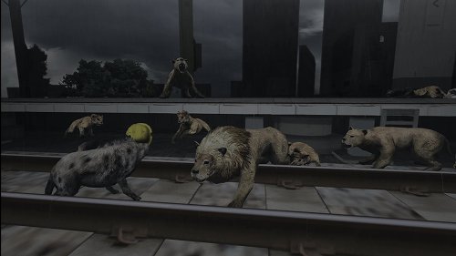 画像集#019のサムネイル/母親とはぐれた小鹿や家族を守るライオンの運命はいかに。「TOKYO JUNGLE」の過酷な環境を生きる動物達のストーリーを紹介