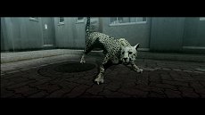 画像集#015のサムネイル/「TOKYO JUNGLE」,ストーリーモードのスクリーンショットを掲載。ポメラニアンにボスネコが,ニホンジカにチーターや恐竜が襲いかかる