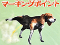 「またSCEからなんか来た!」と思ったら“サバイバル用持ち出し袋”だった。これで「TOKYO JUNGLE」を生き残れというのか……