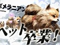 ポメラニアンがヒヨコを喰らい,タダメスと交尾する衝撃映像(?)。注目作 「TOKYO JUNGLE」の魅力をプレイムービーで紹介