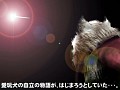 マフィア梶田の二次元が来い!:第111回「取り合いTOKYO JUNGLE修羅場! 〜おまえら,縄張りをめぐって争うんじゃない!〜」