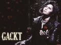 「頭文字D ARCADE STAGE 7 AA X」とGACKTがタイアップ。「情熱のイナズマ」をBGMに設定できる