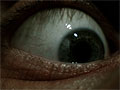 「Rise of Nightmares」E3 2011で公開されたばかりの最新トレイラーを4GamerにUp。男に身に起こることは夢か現実か……