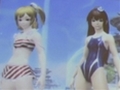 エミリアとルミアの水着衣装,デューマンとキャストの「PSPo2i」衣装/パーツなど注目の新情報も飛び出した,「ファンタシースター感謝祭2013」札幌会場のレポートを掲載