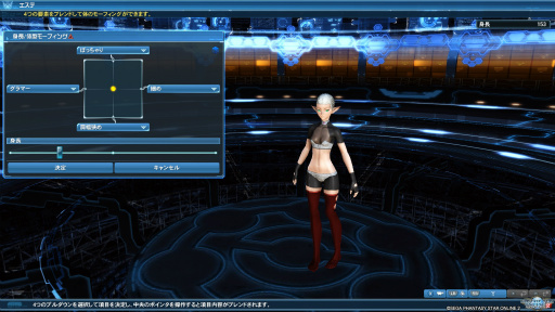 画像集 No.082のサムネイル画像 / 「PSO2」のグラフィックスが大幅強化されたので,俺のかわいいキャラをさらにかわいくしてみた。キャラクリは自分に正直が正義だ!