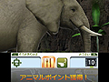 マーベラス,3DS専用動物園ライフゲームの正式タイトルを「アニマルリゾート 動物園をつくろう!!」に決定。“動物達とのコミュニケーション”要素とは?