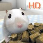HamTouch! for iPad