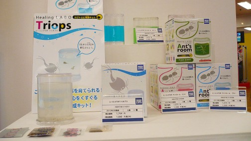 画像集#019のサムネイル/新作オンラインカードゲーム「Code Colle」など,気になるアイテムがずらり。「2012 タカラトミーグループ新春商談会」レポート