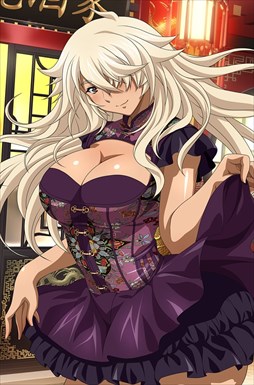 画像集 No.007のサムネイル画像 / 「ブラウザ一騎当千」，ステップアップトーシダス煌に「変形チャイナ（前半） 」が登場