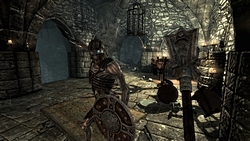 #007Υͥ/GamescomϡThe Elder Scrolls V: SkyrimפΥץ쥹ե󥹤šͳ٤ι⤤饯ᥤ󥰤ȡ椬о