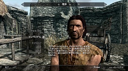 #017Υͥ/The Elder Scrolls V: SkyrimפΥӥ塼ǺܡꤳܤΥϥե󥿥ʤ顤鿴Ԥؤͥ˺ʤѤʤ̿RPG