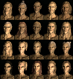 画像集#008のサムネイル/「The Elder Scrolls V: Skyrim」メディア向け体験会で実際に2時間30分ほど触ってきたので，さっそくプレイレポートをお届け