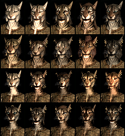 画像集#010のサムネイル/「The Elder Scrolls V: Skyrim」メディア向け体験会で実際に2時間30分ほど触ってきたので，さっそくプレイレポートをお届け