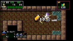 画像集#010のサムネイル/日本一ソフトウェアのアクションRPG「クラシックダンジョンX2」が2011年3月24日に発売。新機能が搭載され,やりこみ要素も“2倍”になって,前作より安いだと