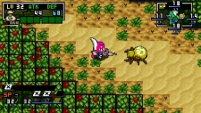 画像集#078のサムネイル/日本一ソフトウェアのアクションRPG「クラシックダンジョンX2」が2011年3月24日に発売。新機能が搭載され,やりこみ要素も“2倍”になって,前作より安いだと