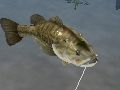 「Fishing 3D」,新たな発売日を2012年2月2日に決定