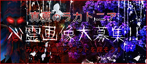 #005Υͥ/֥饫ȥ˥פǽʿХƥबо졣1Ƥϡ֥ʥȡ
