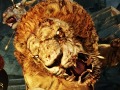 ［TGS 2011］「Dragon\'s Dogma」のステージイベントをレポート。映画「ベルセルク」やファンタジー作家の水野 良氏とのタイアップが発表に