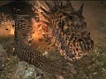 「Dragon’s Dogma」,新モンスター“ドレイク”との戦闘ムービーを公開。Xbox 360版は無料メンバーシップでオンライン要素を遊べる