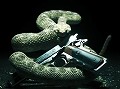“エージェント47”が帰ってくる。シリーズ最新作「Hitman Absolution」のティザームービーが公開に