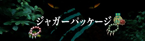 画像集 No.008のサムネイル画像 / 「Tree of Savior Japan」，新クラス“ジャガー”などを追加する大型アップデートを実装。無条件転職キャンペーンもスタート