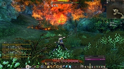 画像集 No.041のサムネイル画像 / 「ECHO OF SOUL(EOS)」は,MMORPGの面白さを再確認させてくれる“丁度よい”作品。東京で行われたフォーカスグループテストをレポート