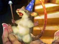 「ドラゴンズクラウン」徹底攻略ページを本日公開! 詳細なラウンド&職業解説や,冒険に役立つ各種データをまとめてドドーンと掲載
