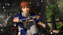 画像集#001のサムネイル/大人が楽しめるエンターテイメントを届けたい――「NINJA GAIDEN 3」の早矢仕プロデューサーが考えるアクションゲームの形とは