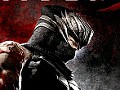 「NINJA GAIDEN 3」公式サイトで「DEAD OR ALIVE 5 体験版 α.ver」のオンラインアンケートを実施中