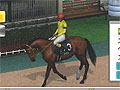 「Champion Jockey: Gallop Racer & GI Jockey」オンライン対戦のマッチング機能やゲームモードなどの情報が公開に