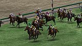 Champion Jockey: Gallop RacerGI Jockey